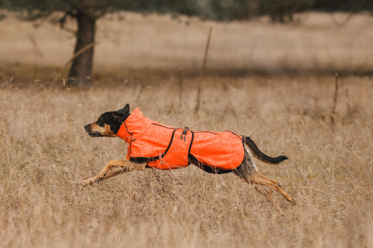 Back on Track Bark Allround Hundemantel