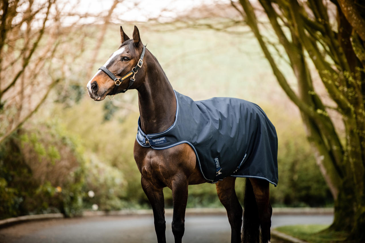 Horseware Coperta Amigo Walker 100 g