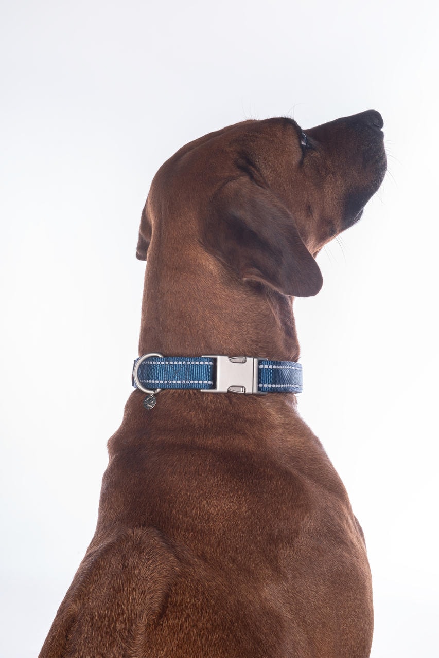 HKM Hundehalsband -Anam Cara- Nylon