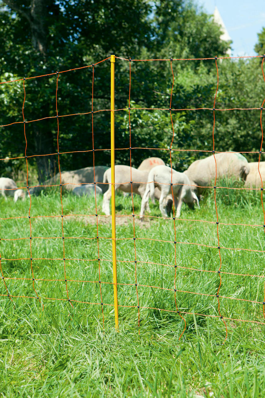 AKO OVINET – rete per ovini, alta 108 cm