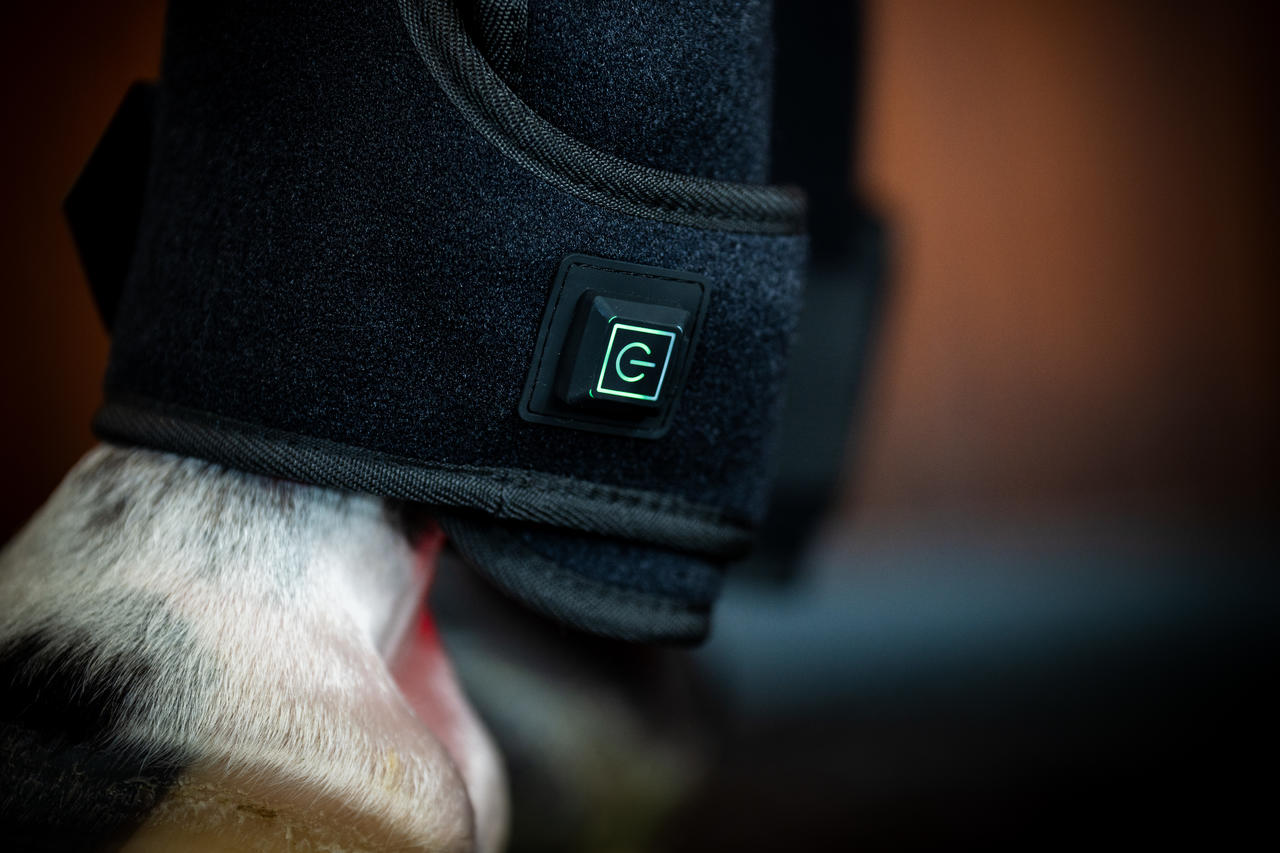 Horseware LED Red Light Therapy Leg Wrap