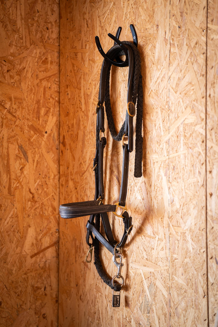 Porte-bride fer à cheval pour matériel d'écurie