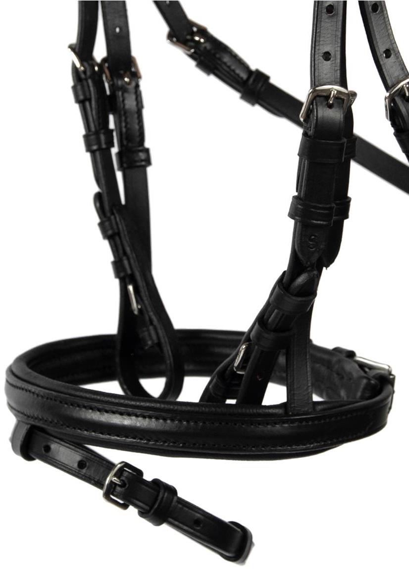 Hans Melzer Snaffle Shetty
