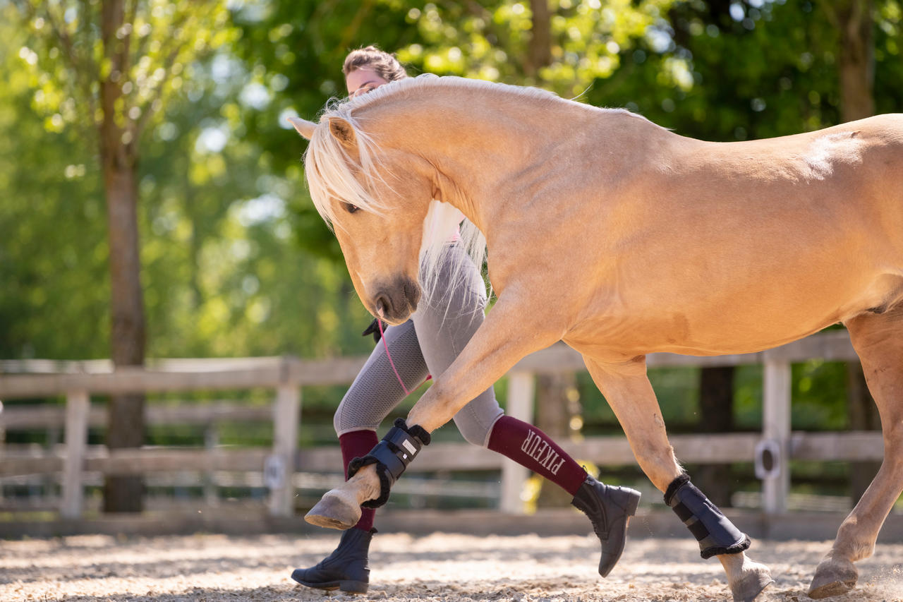 Waldhausen Stinchiere da dressage morbidi
