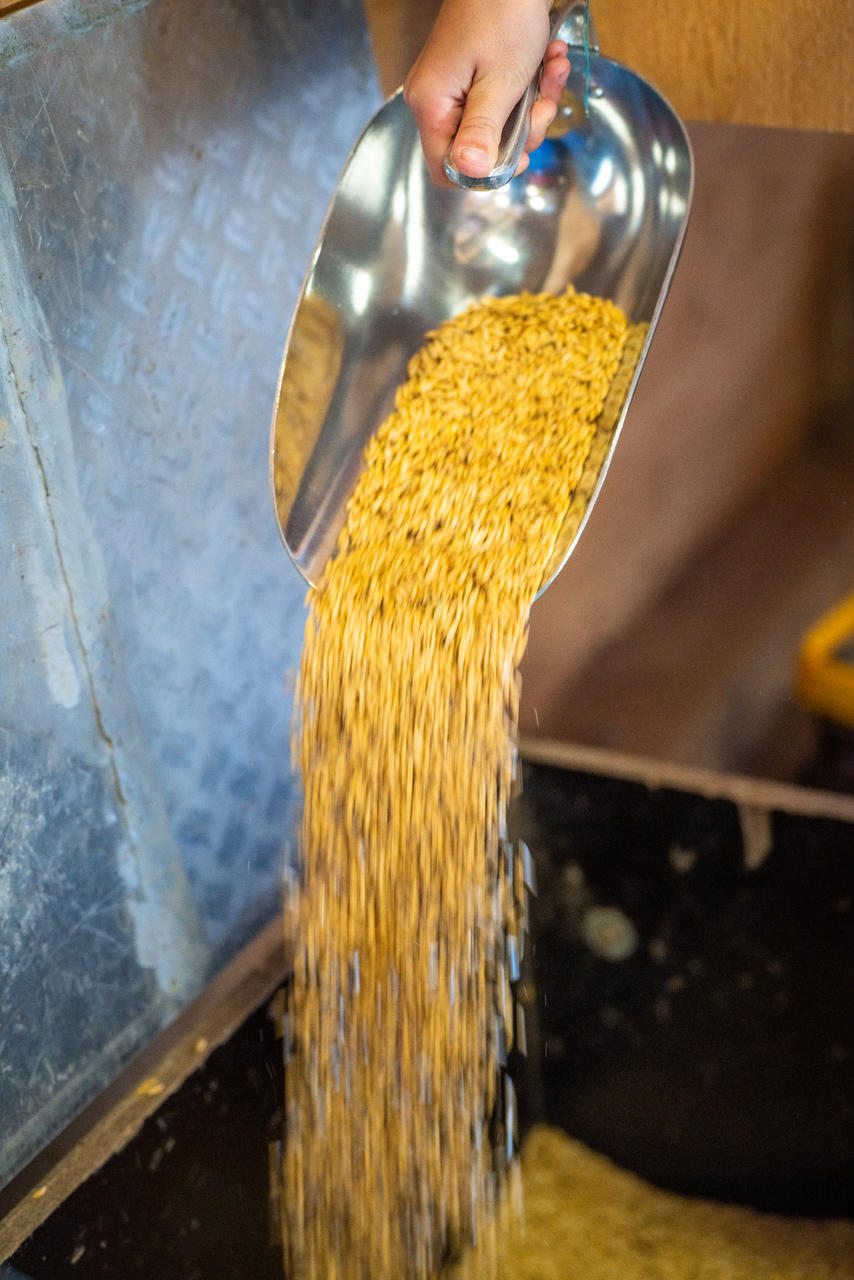 Kerbl Paletta dosatrice con manico interno 2000 g