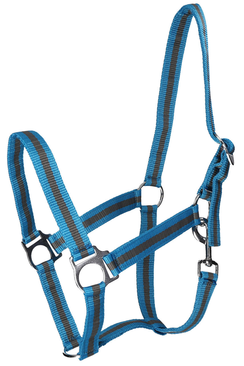 WAHL-Hausmarke HoldMe Halfter