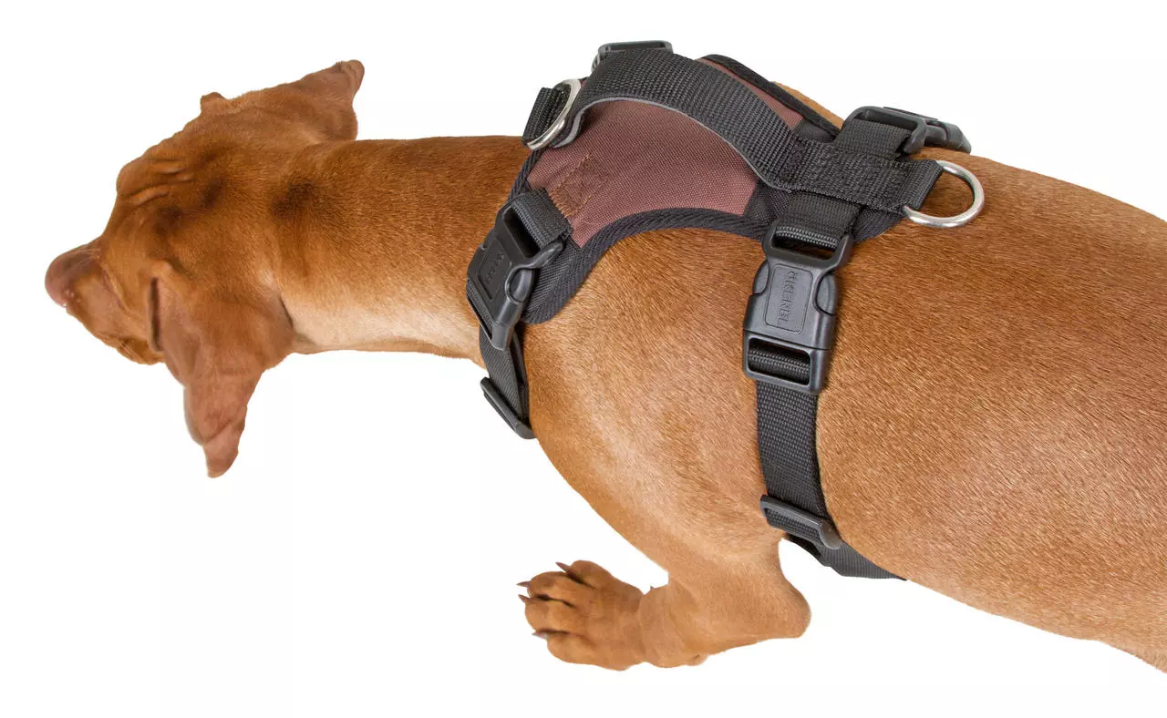 Kerbl Hundegeschirr Pulsive