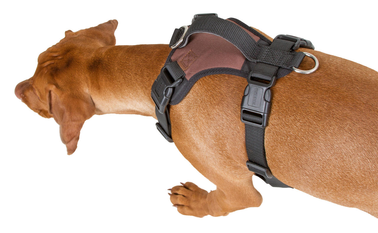 Kerbl Pettorina per cani a trazione pulsata