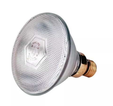 Philips Infrarot-Sparlampe, weiß, 100 Watt