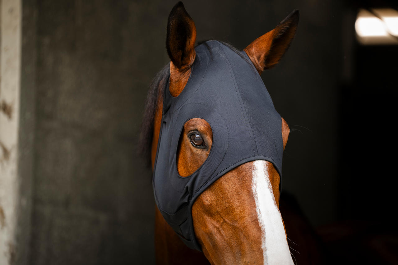 Horseware Ionic Calming Face Mask Horseware Ionic Calming Face Mask