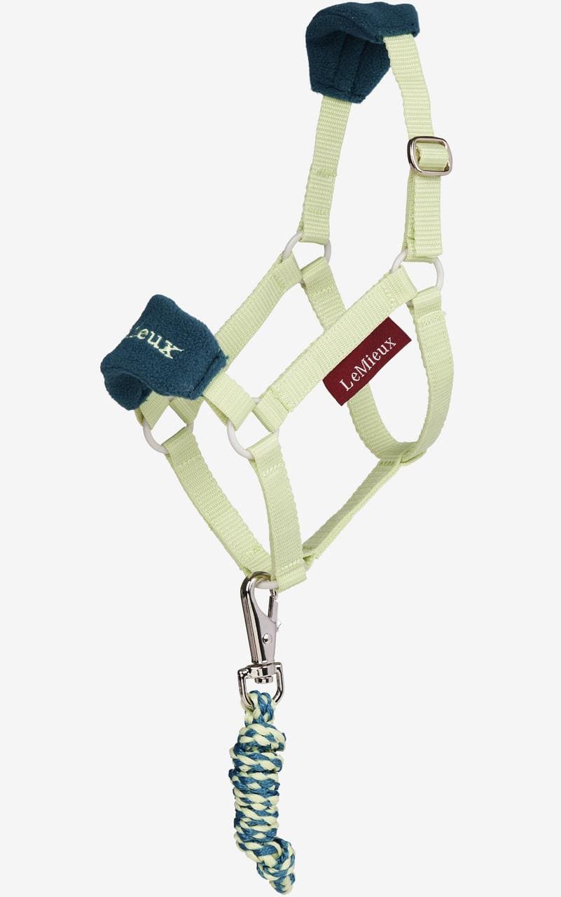 LeMieux Hobby Horse Vogue Halfter und Führstrick