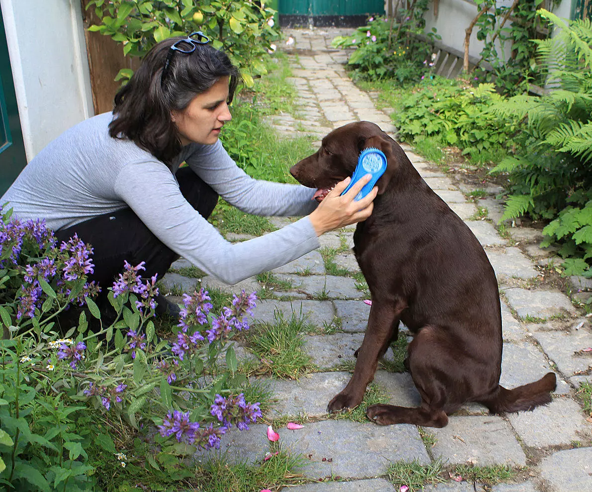 MagicBrush Bürste für Hunde
