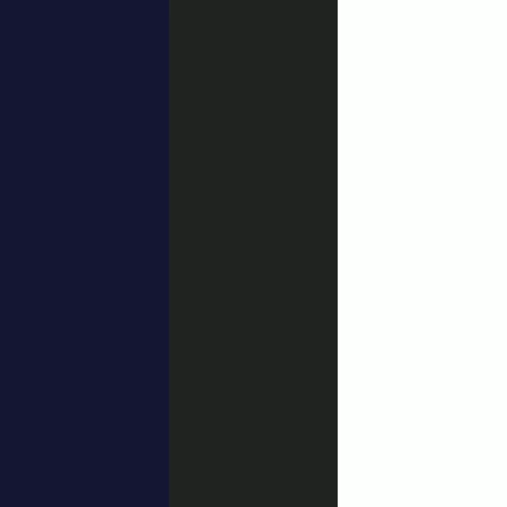 dark navy/black/white