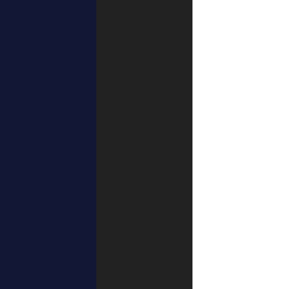 dark navy/black/white