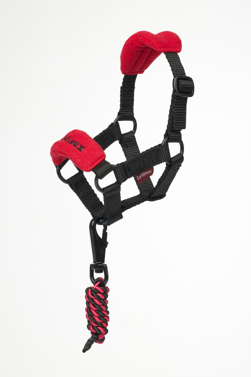 LeMieux Toy Pony Vogue Halfter