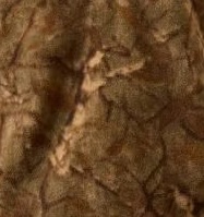 savannah tan camo