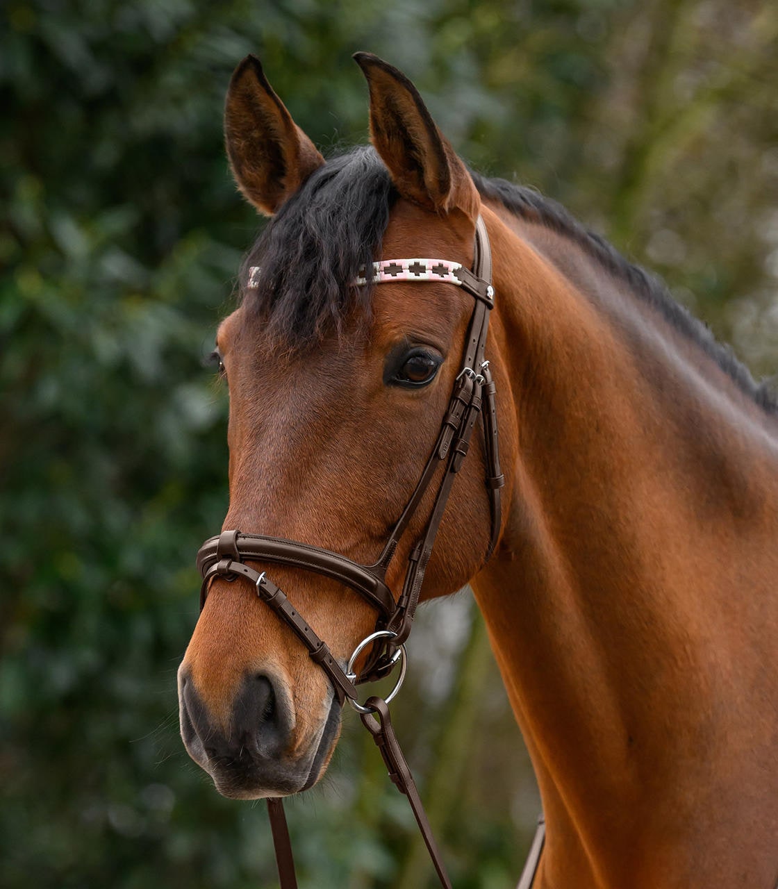 Waldhausen Frontalino X-Line Polo, marrone