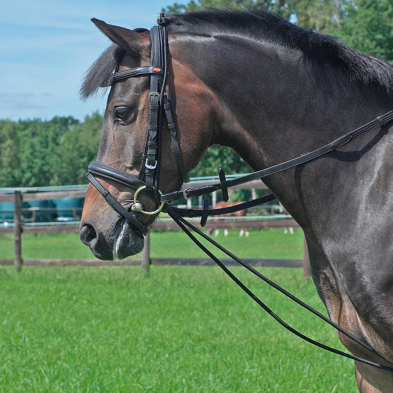 Busse Redini elastiche Busse Redini elastiche