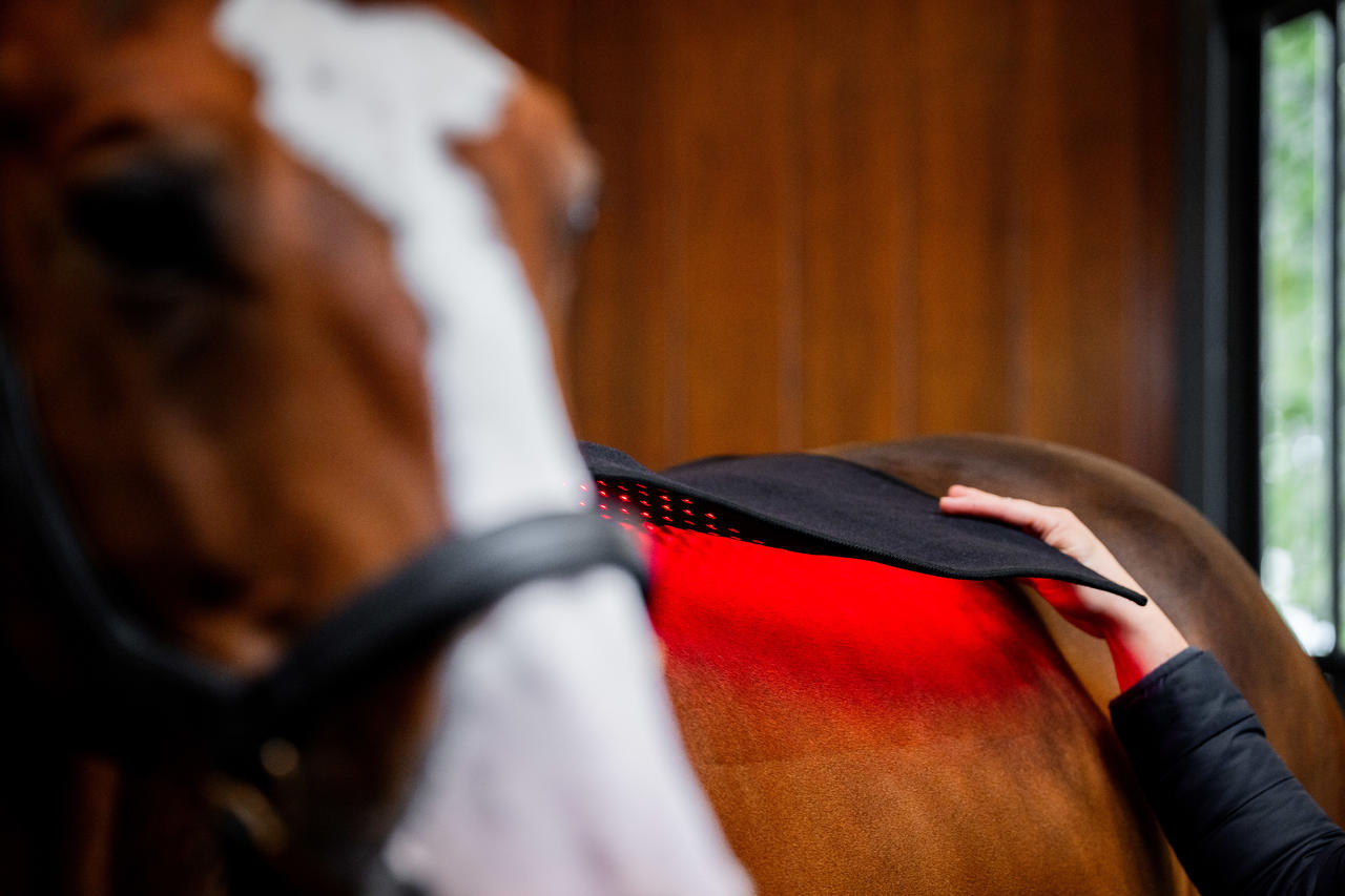 Horseware LED Red Light Therapy Pad