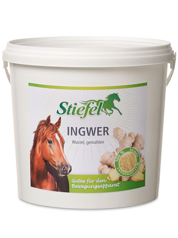 Stiefel Ingwer, gemahlen 1 kg Stiefel Ingwer, gemahlen 1 kg