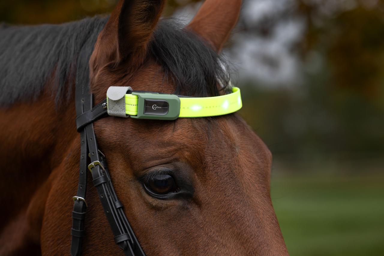 Covalliero Frontalino LED