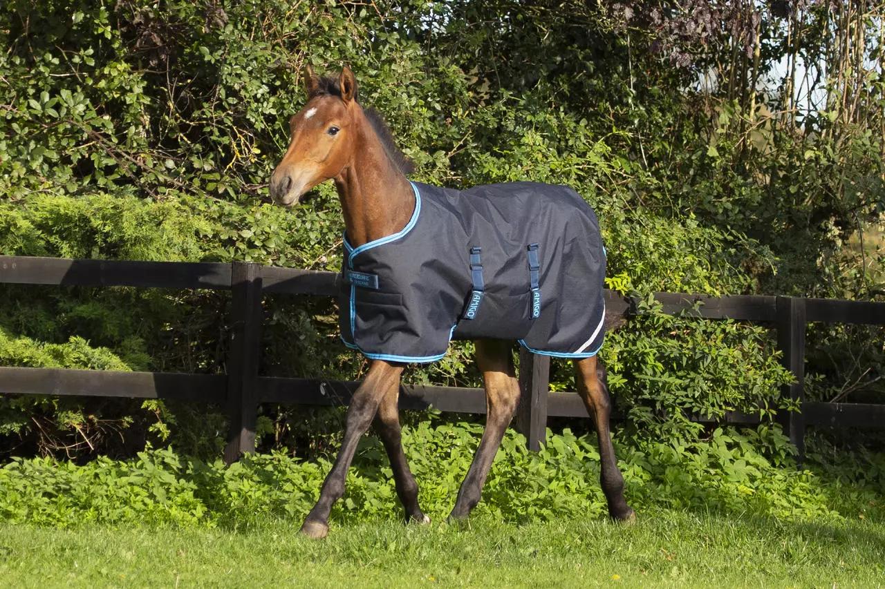Horseware Amigo Foal Rug Ripstop 50 g