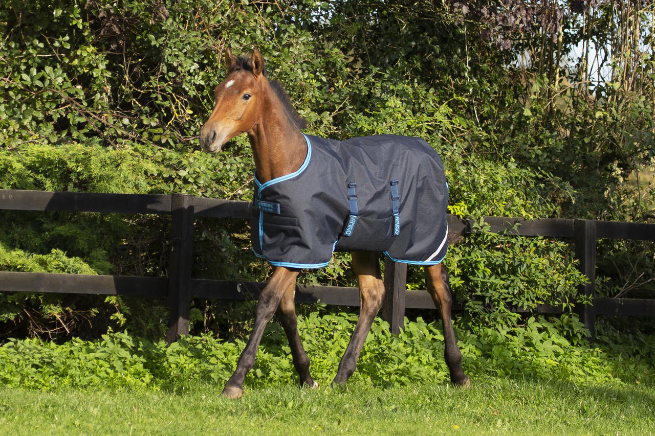 Horseware Coperta per puledri Amigo Ripstop 50 g