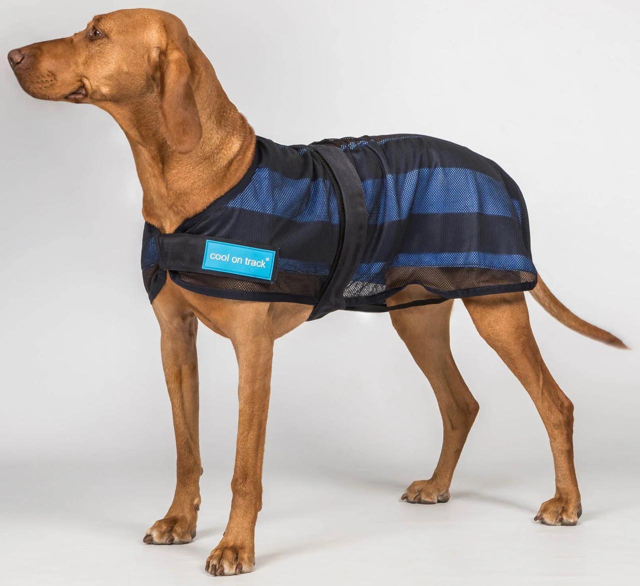 Cool on Track Cooling Hundemantel 2.0