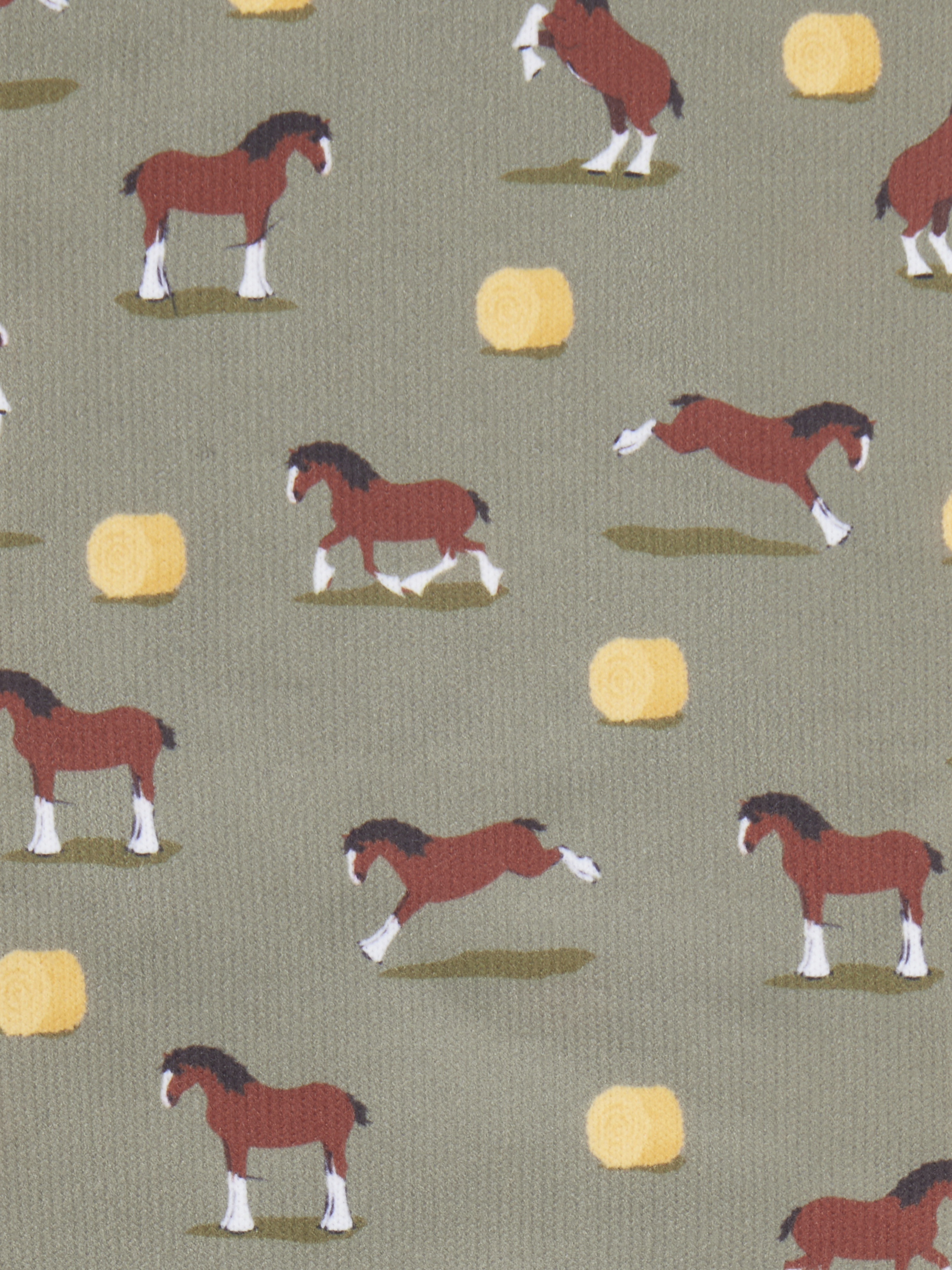 Clydesdale/Willow