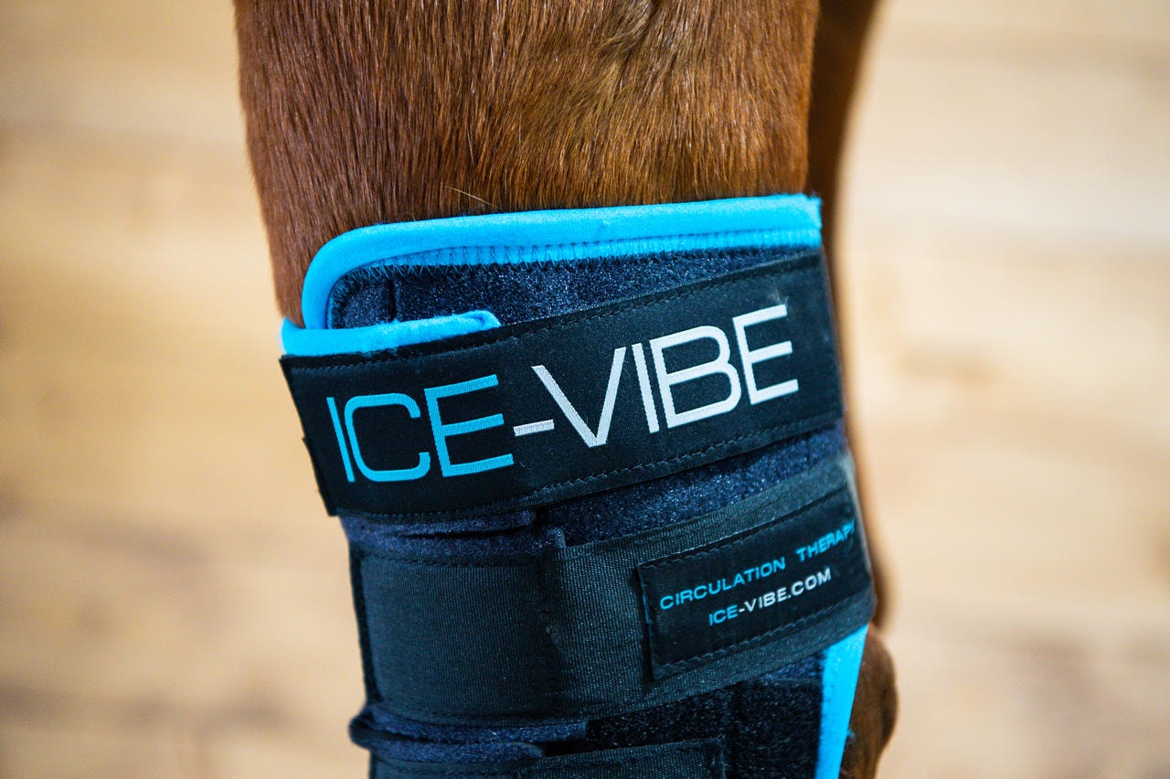 Horseware Paragarretti Ice-Vibe Hock Wrap