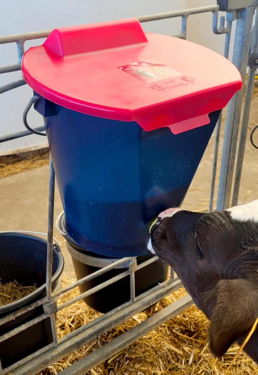 Hiko Deckel für Calf Buddy 1 Tränkeeimer