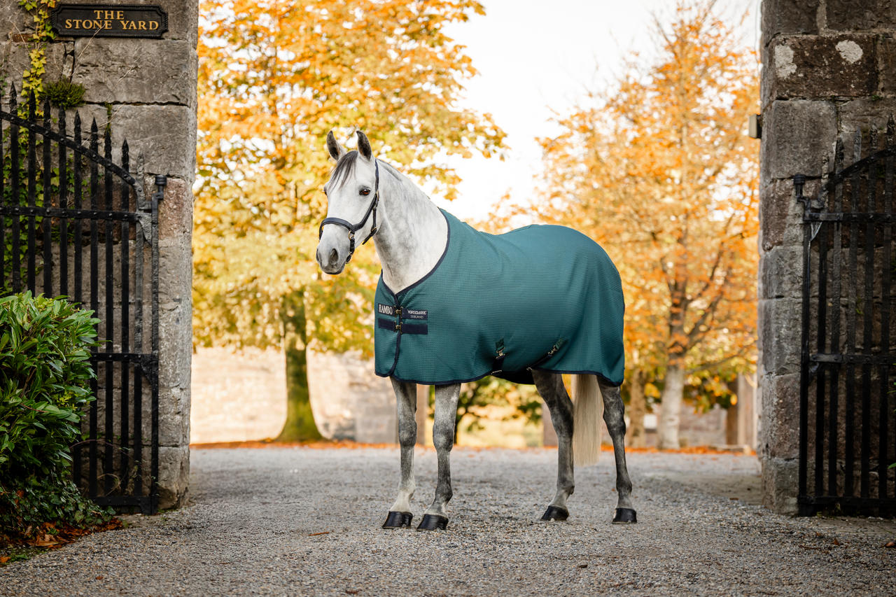 Horseware Rambo Techni Waffle Cooler