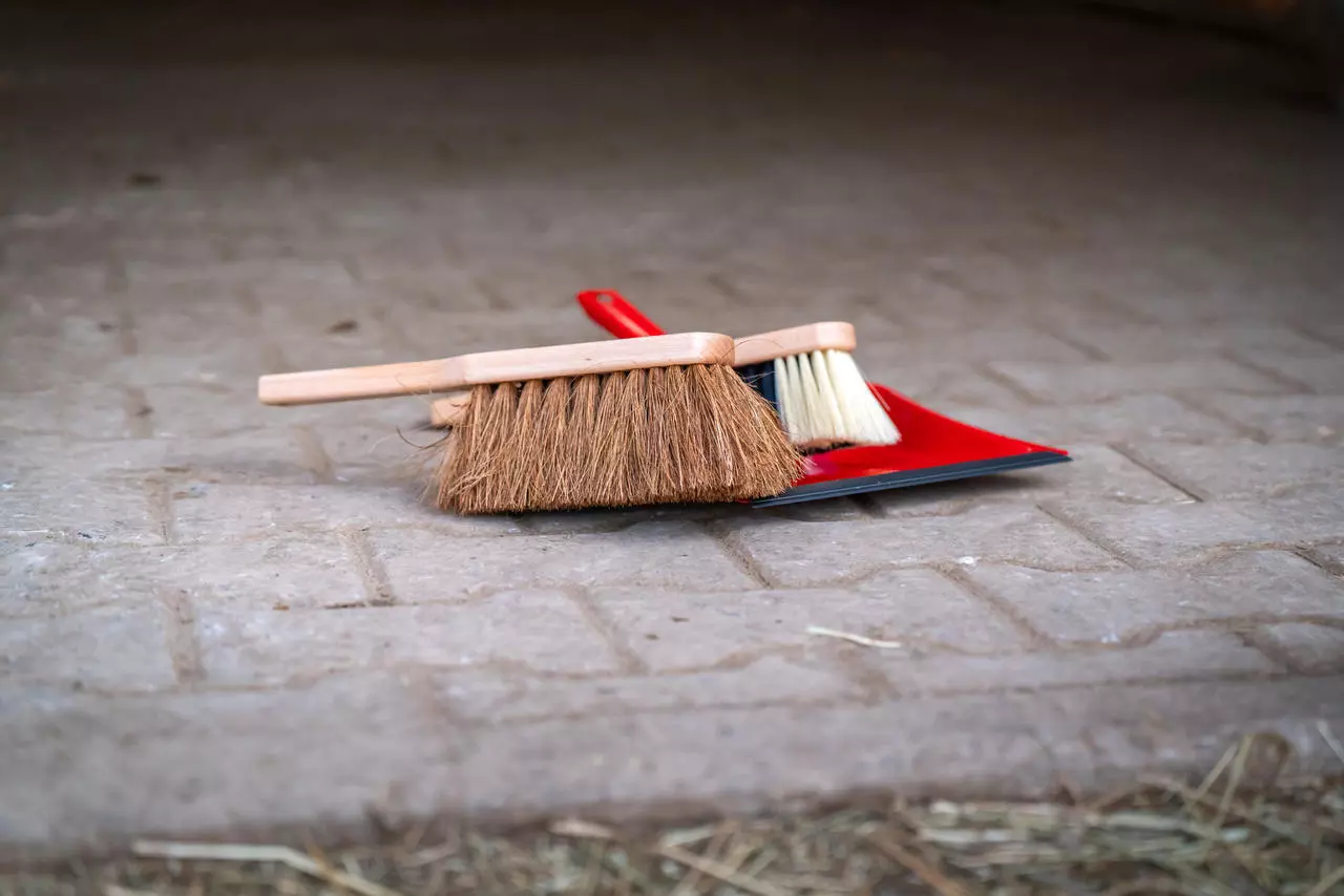 WAHL-Hausmarke HANDKEHRBESEN Naturfaser