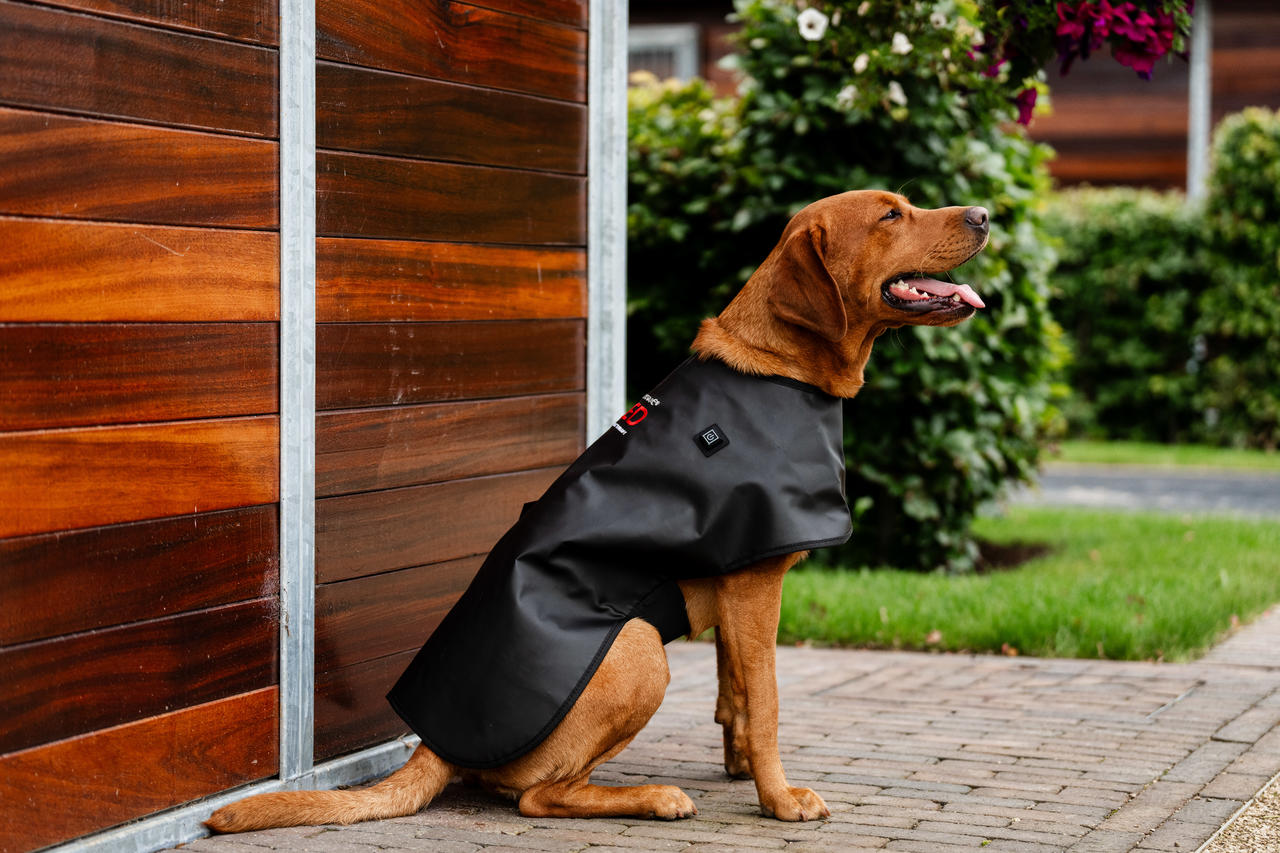 Horseware LED Red Light Therapy Pet Coat