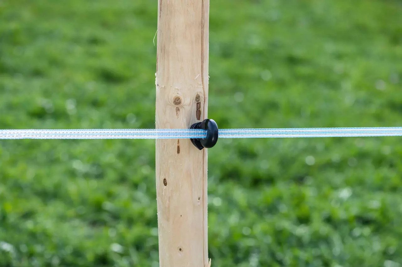 WAHL-FENCE Weidezaunband - HIGH END - 12,5mm / 200m