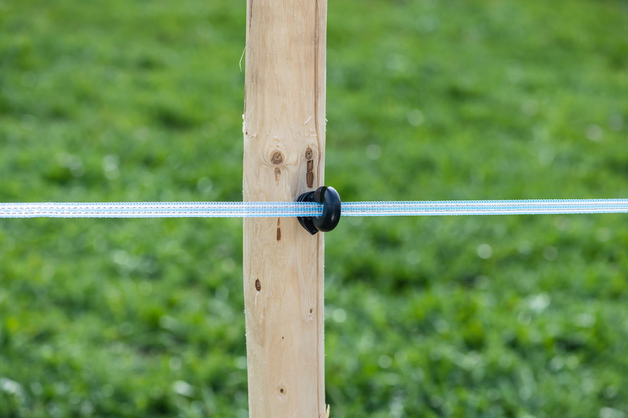 WAHL-FENCE Nastro di recinzione per pascoli - HIGH END - 12,5 mm / 200 m