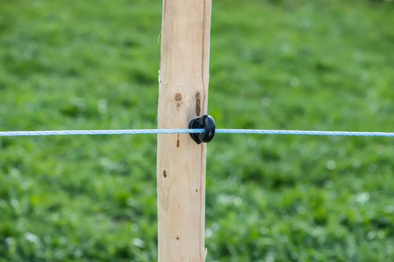 WAHL-FENCE Weidezaunseil - HIGH END - 6mm / 300m