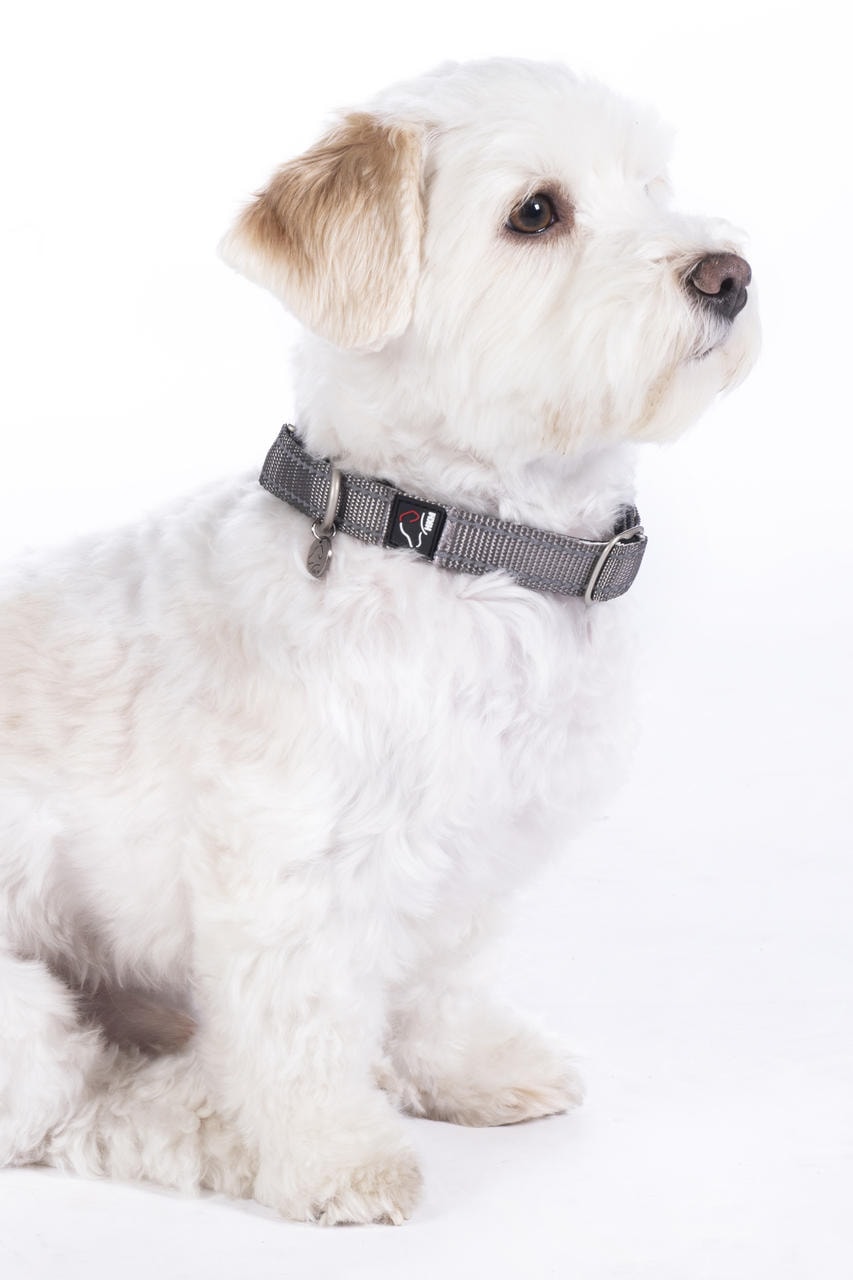 HKM Collare per cani -Anam Cara- Nylon