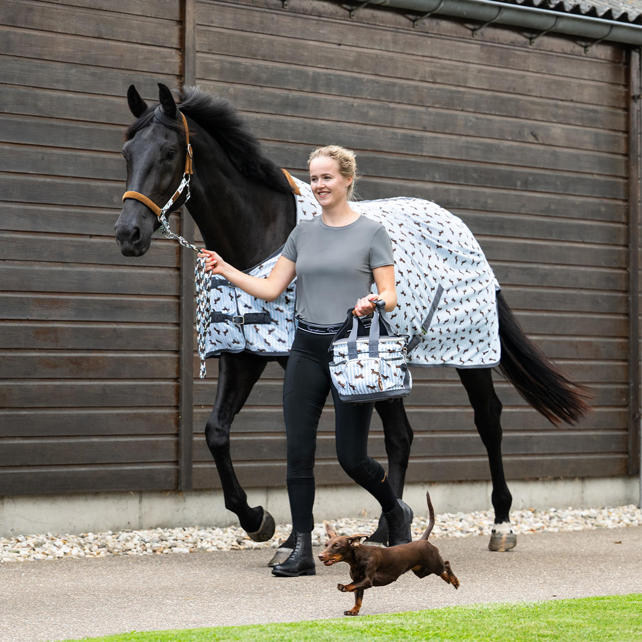 QHP Coperta antimosche Stable Buddy