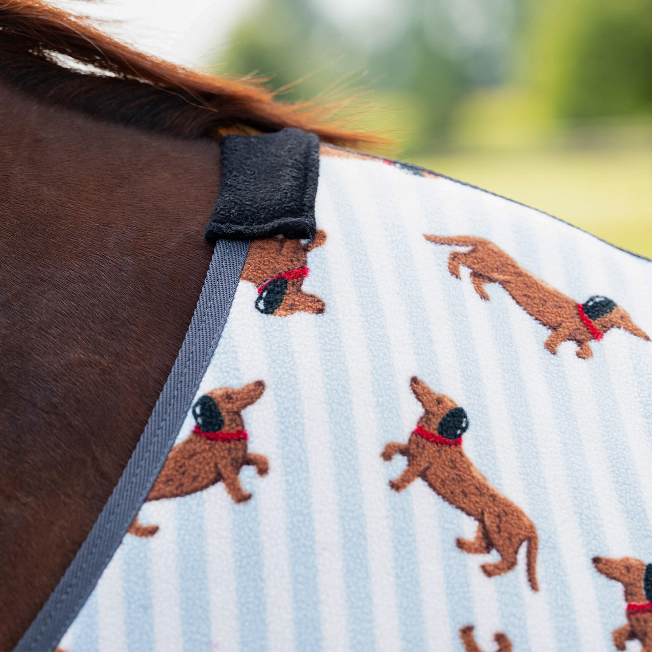 QHP Fleecedecke Stable Buddy