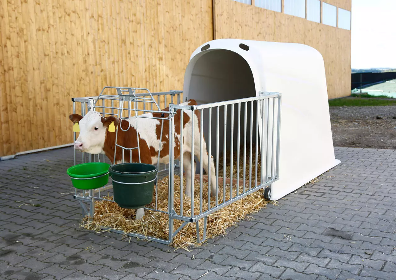 Kerbl Kälberiglu Calfhouse PREMIUM PLUS leicht Kerbl Kälberiglu Calfhouse PREMIUM PLUS leicht