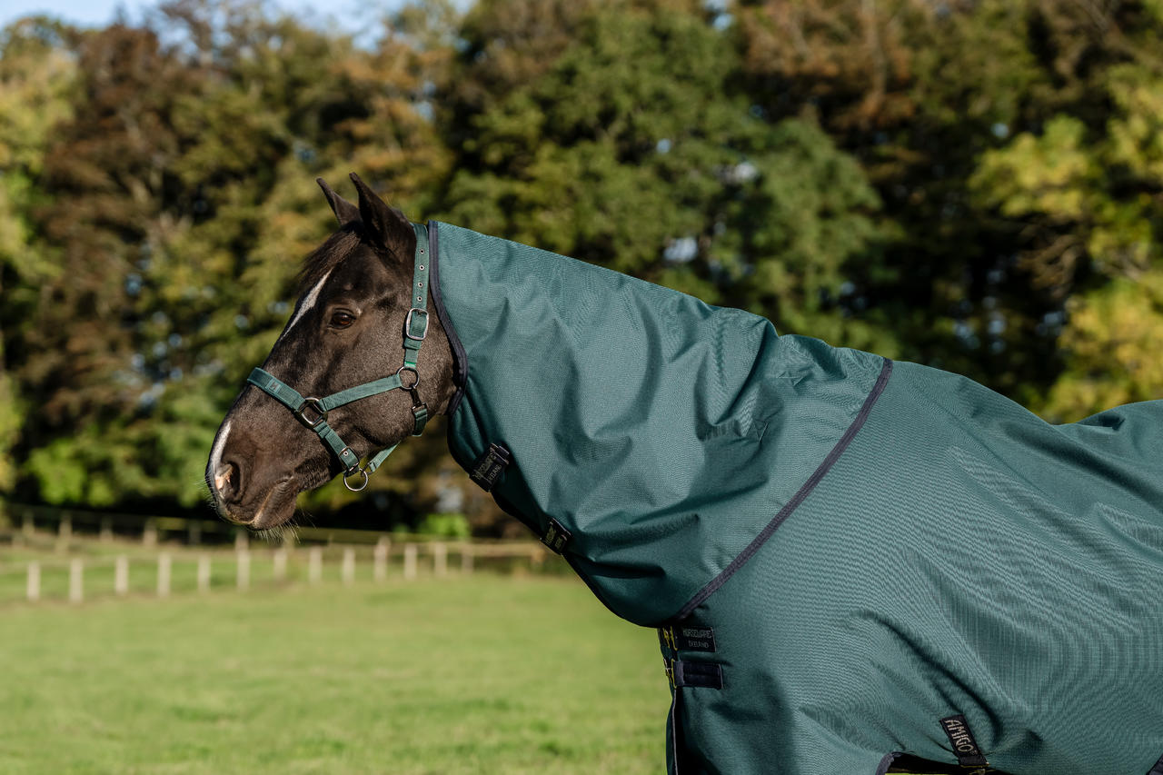 Horseware Amigo Ripstop 900D Turnout Hood 0g