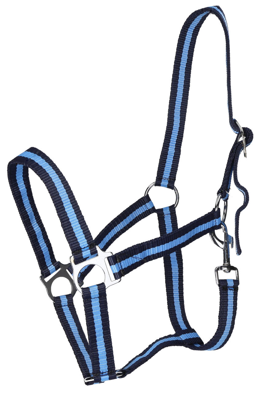 WAHL-Hausmarke HoldMe Halfter