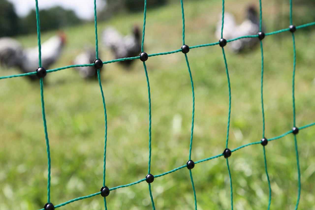 Kerbl Rete per pollame PoultryNet – alta 106 cm, 15 m