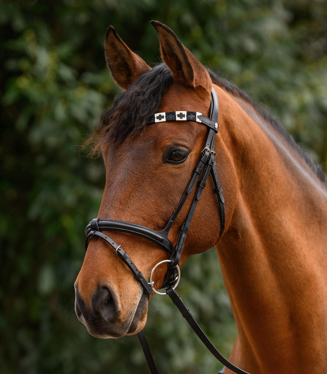 Waldhausen Frontalino X-Line Polo, nero