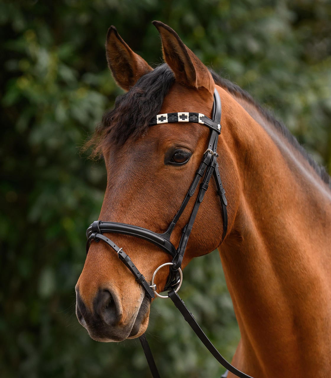 Waldhausen Frontalino X-Line Polo, nero