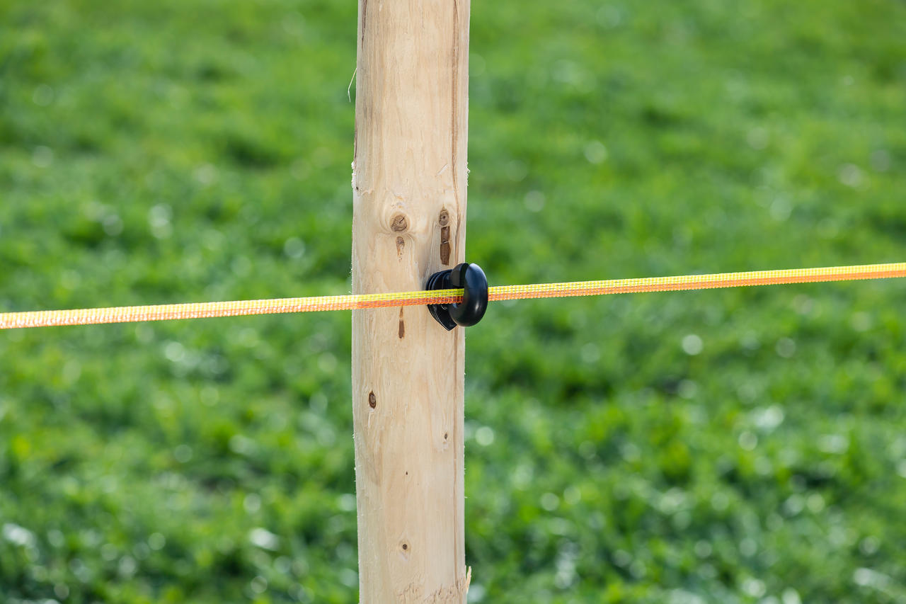 WAHL-FENCE Nastro di recinzione per pascoli SUPRA 10 mm / 200 m