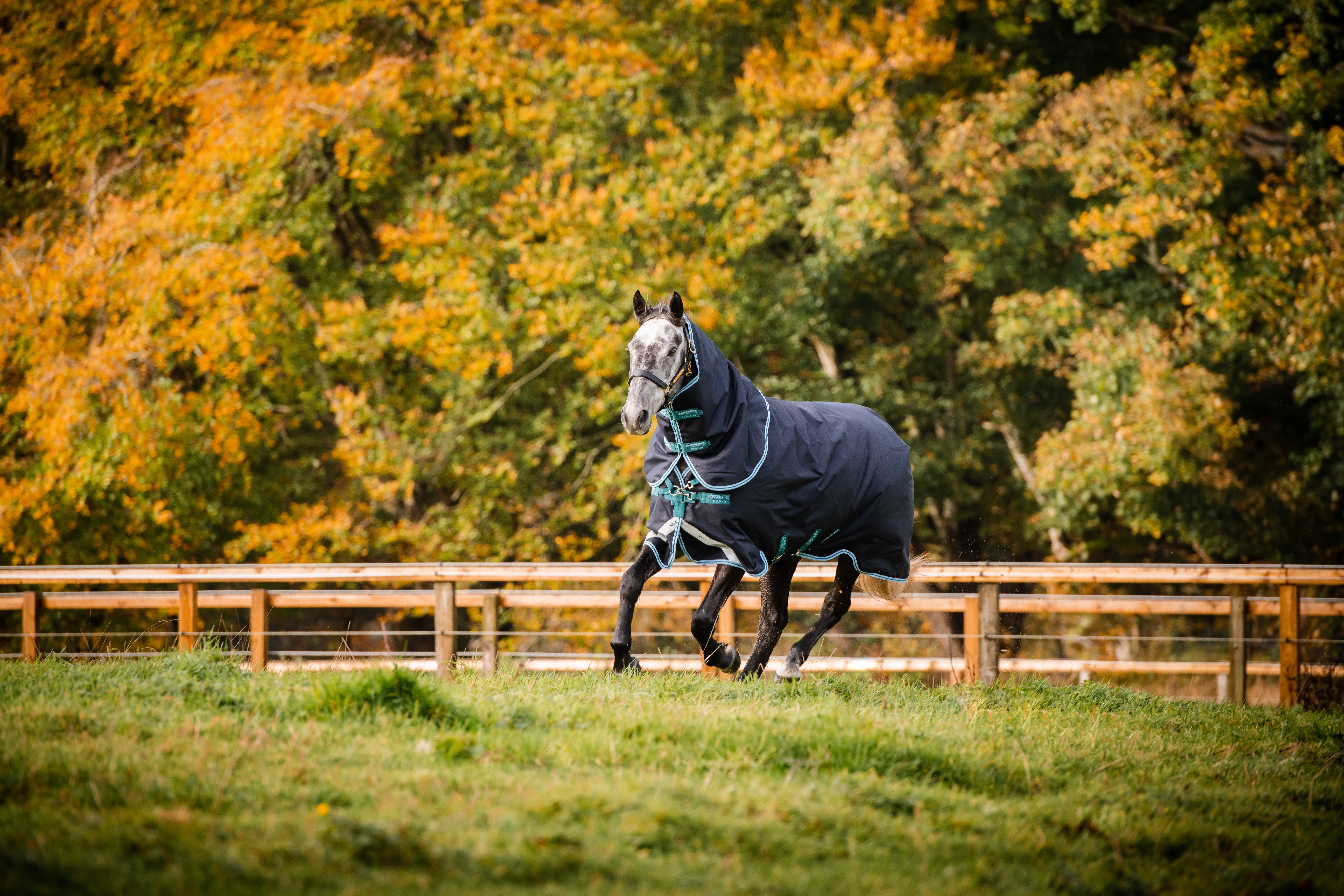 Checklist per stalla e pascolo in autunno – così sarai perfettamente preparato Checklist per stalla e pascolo in autunno – così sarai perfettamente preparato