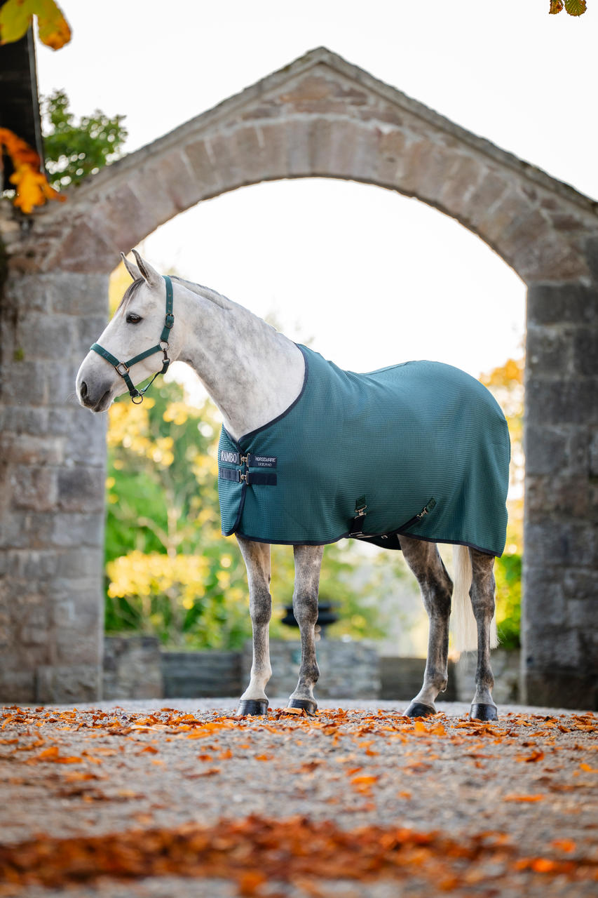Horseware Coperta cooler Techni Waffle Rambo