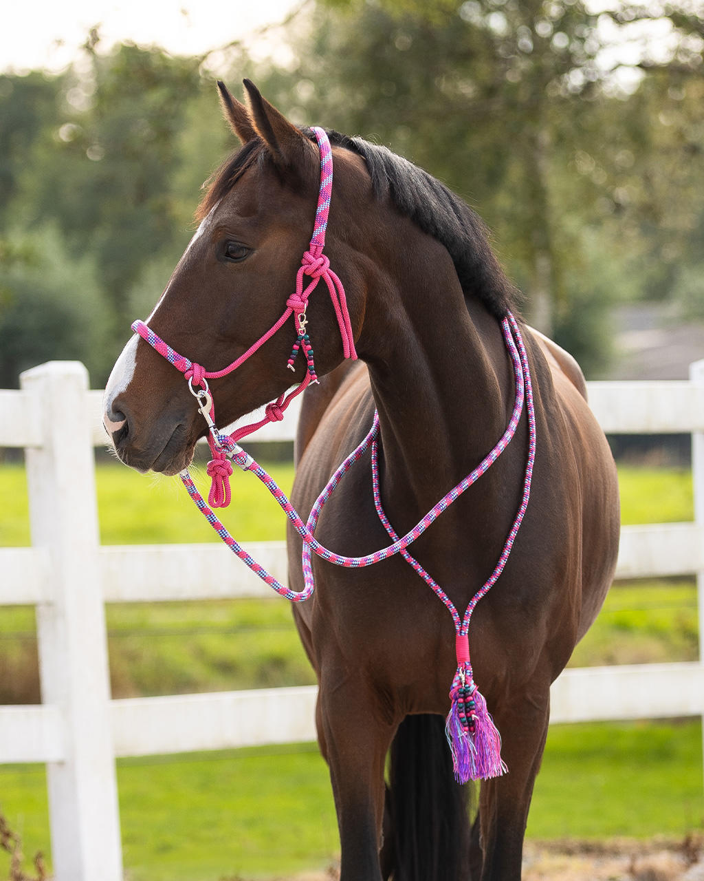 QHP Knotenhalfter Set Liberty